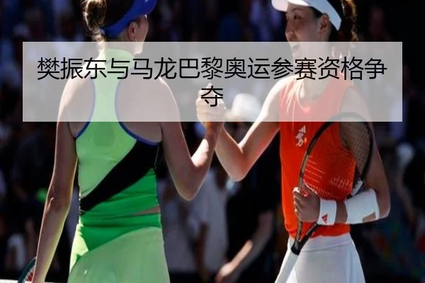 fan-zhen-dong-yu-ma-long-ba-li-ao-yun-can-sai-zi-ge-zheng-duo-2-549.jpg